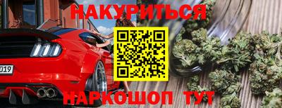 тгк Обь
