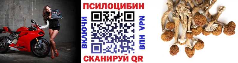 Псилоцибиновые грибы Psilocybe  даркнет сайт  Урюпинск 