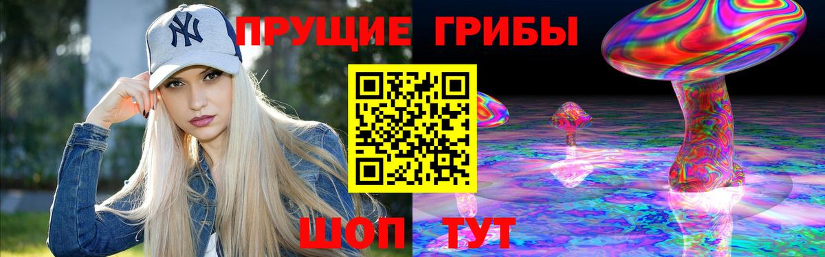 Галлюциногенные грибы Psilocybine cubensis Урюпинск